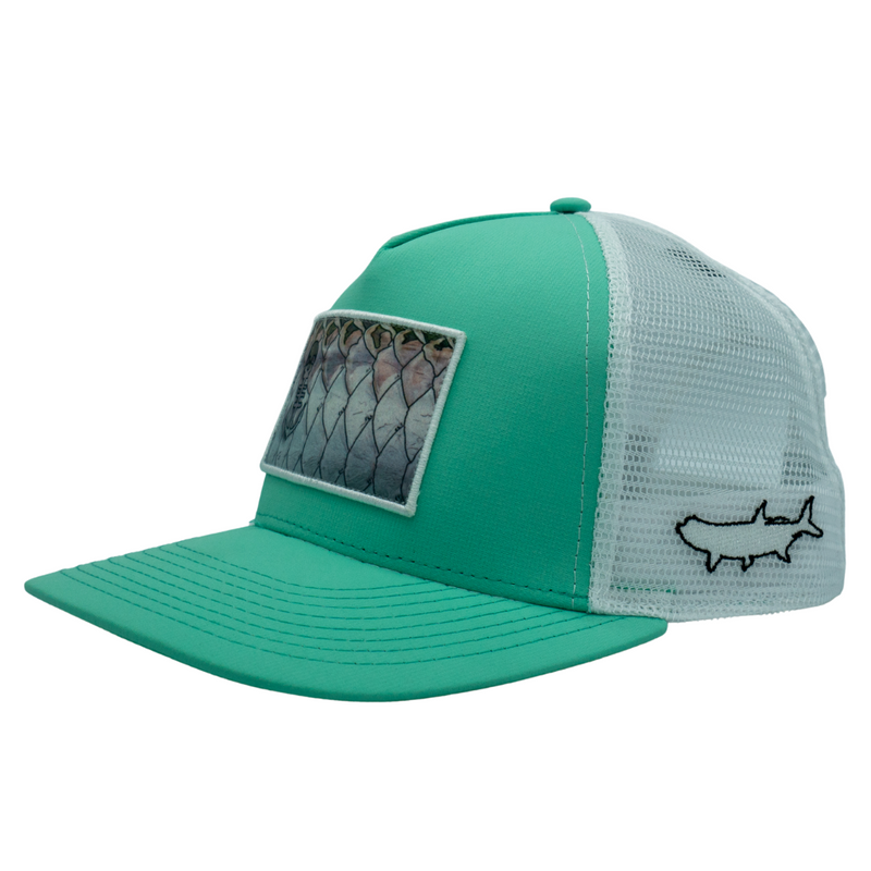PLC Pêche à la mouche - Canne à Mouche SAGE DART 6'6 soie 3 - PLC FLY SHOP PLC Pêche à la mouche - Canne à Mouche SAGE DART 6'6 soie 3 - PLC FLY SHOP