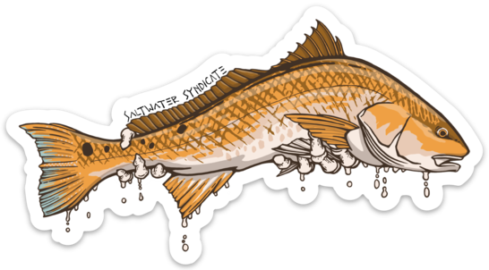 Keep 'em Wet Redfish Decal – Saltwater Syndicate