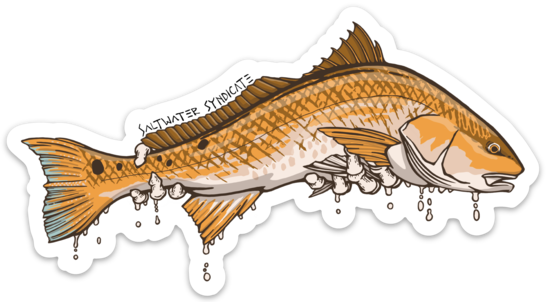 Redfish decal